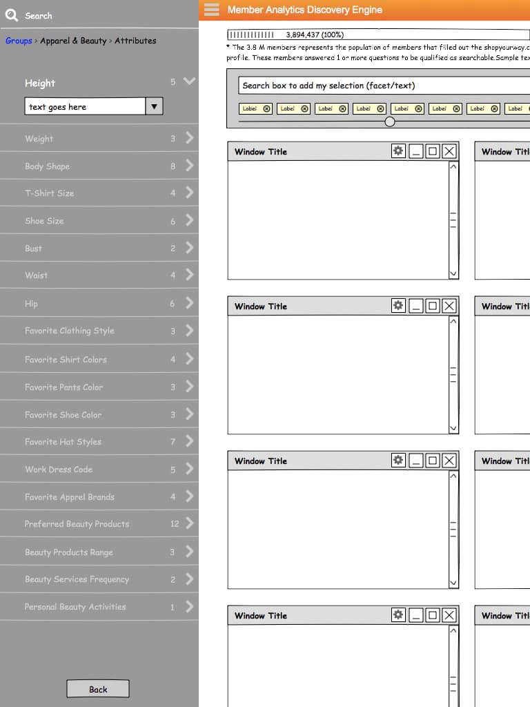 Low-fidelity wireframes showing query interface and results layout